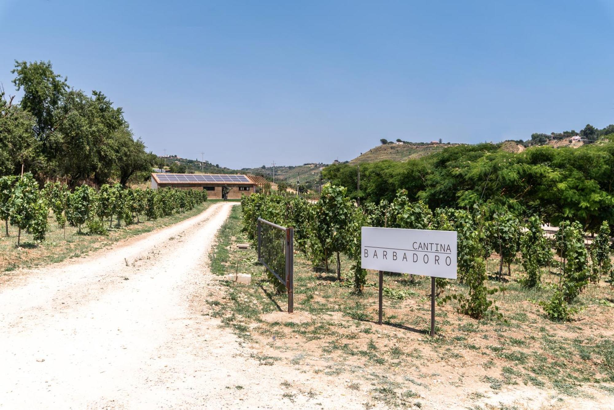 Cottage Immerso Nel Vigneto Caltagirone Exterior photo