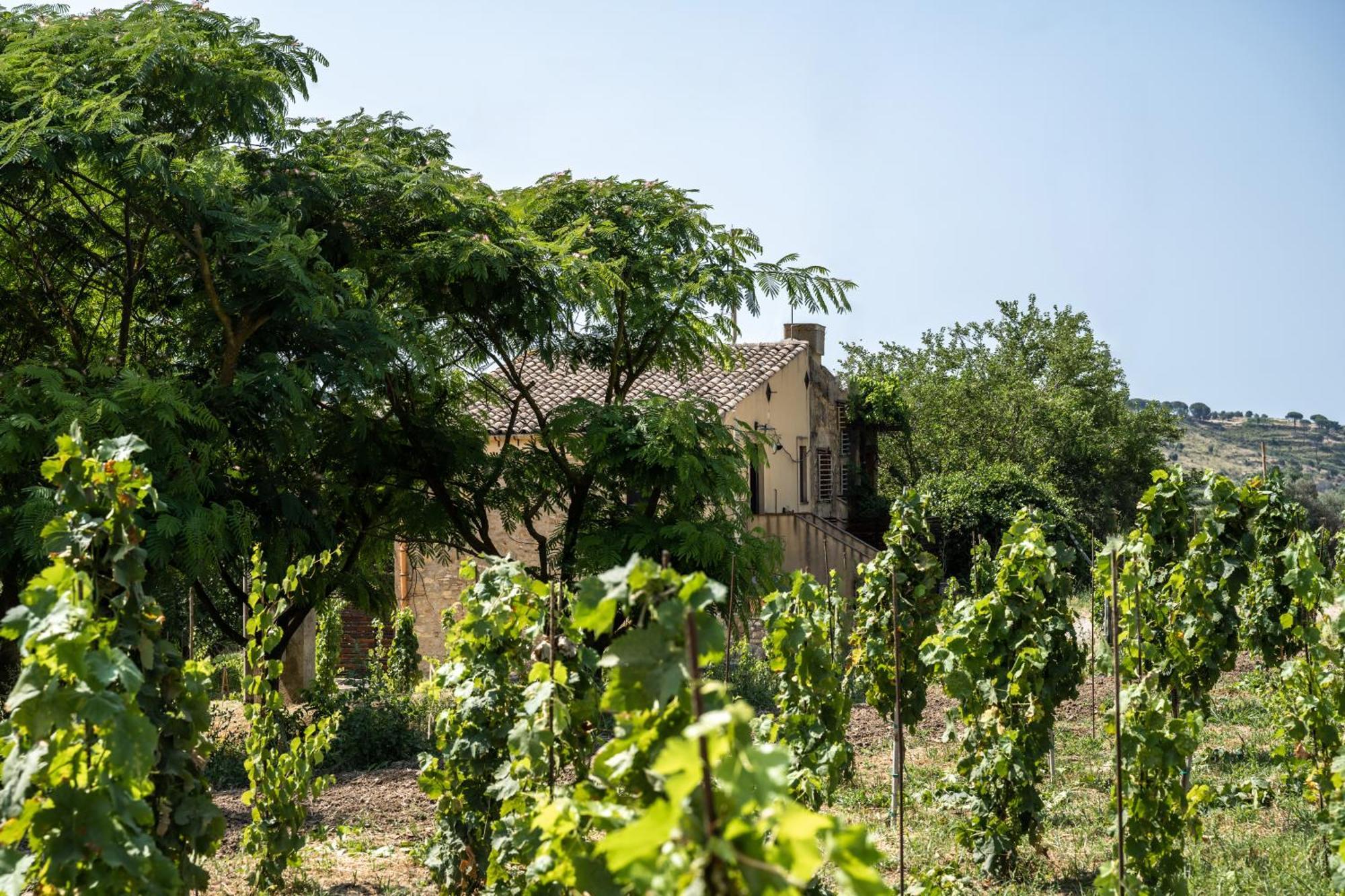 Cottage Immerso Nel Vigneto Caltagirone Exterior photo