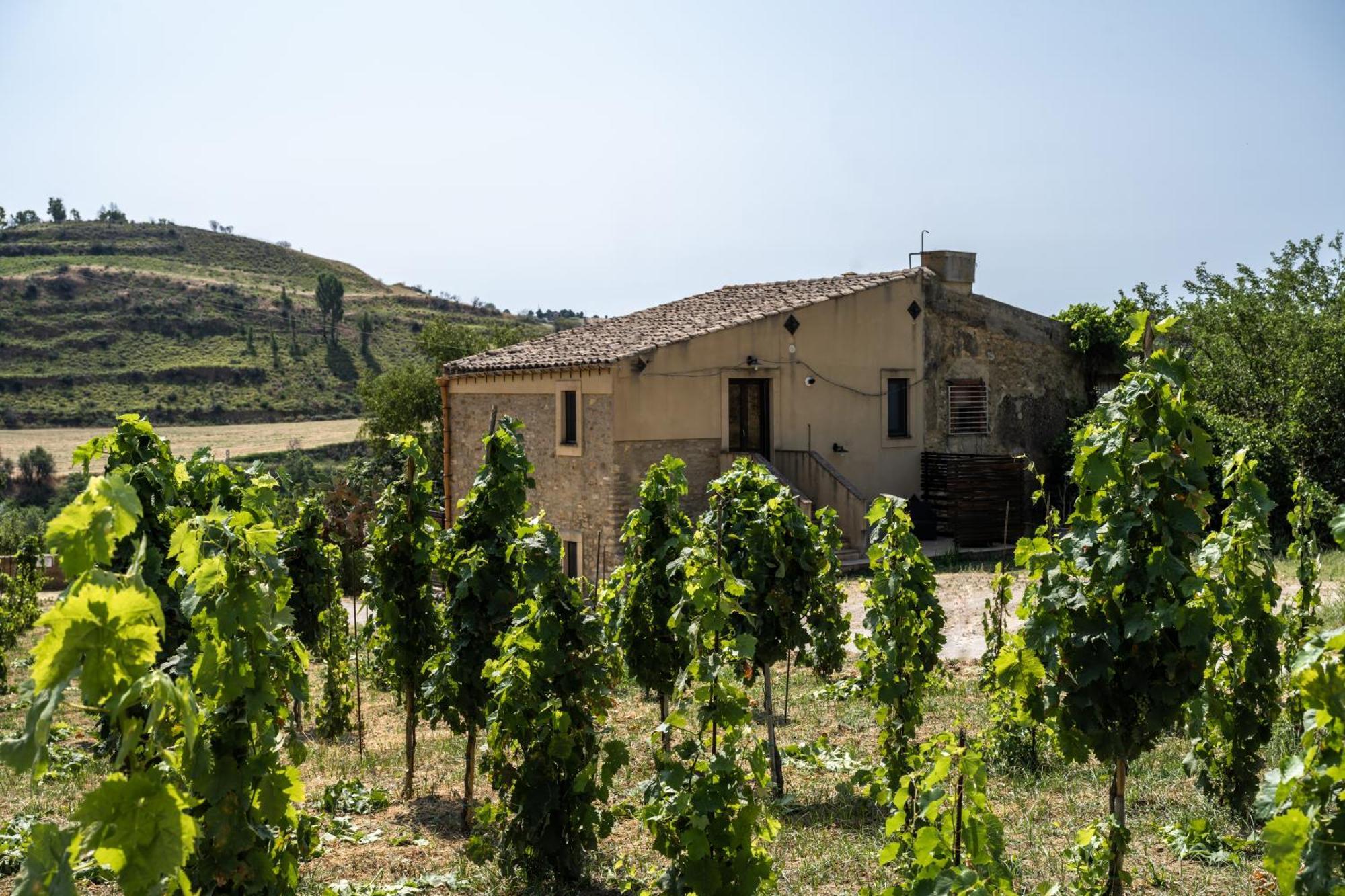 Cottage Immerso Nel Vigneto Caltagirone Exterior photo